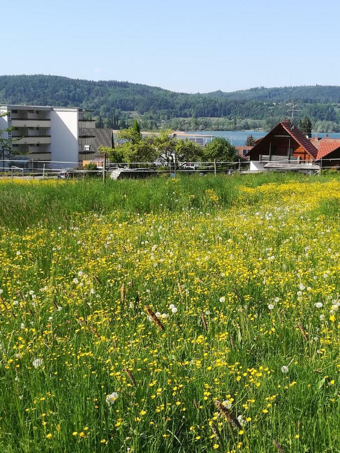 Fewo Segelwind Bodman-Ludwigshafen Dış mekan fotoğraf